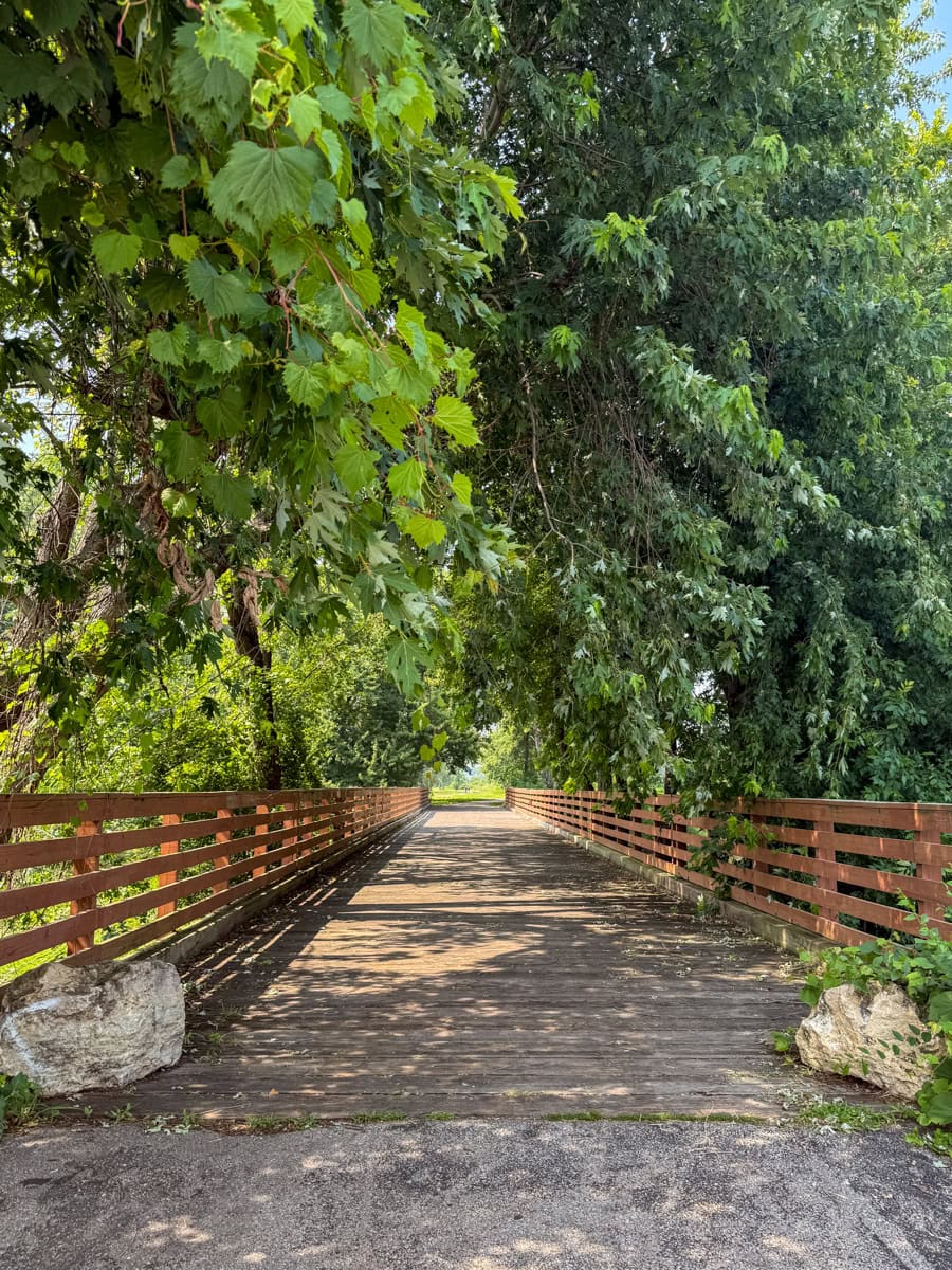A pedestrian bridge along La Crosse River Marsh Trail