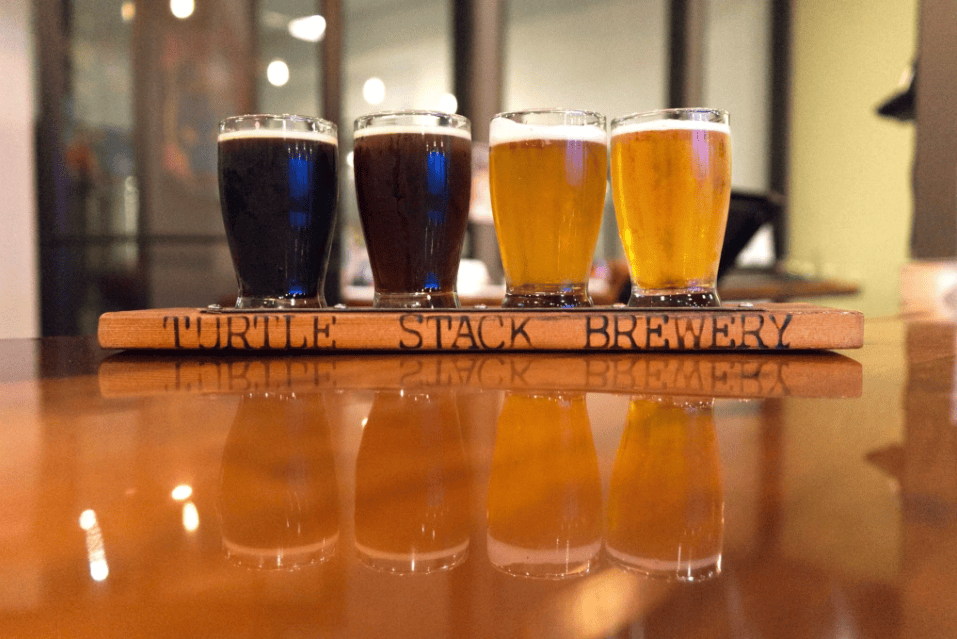 Beers at Turtle Stack Brewery