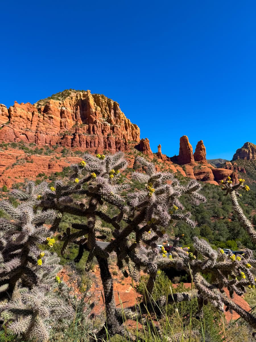 Iconic Arizona desert landscape in Sedona