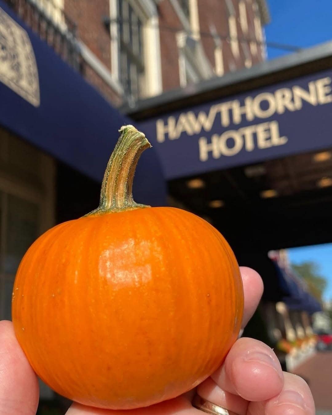 10 Hotels with Halloween Packages + Fall Resort Events